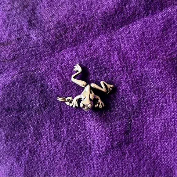 Tree Frog Charm 🐸 - Picture 3 of 4